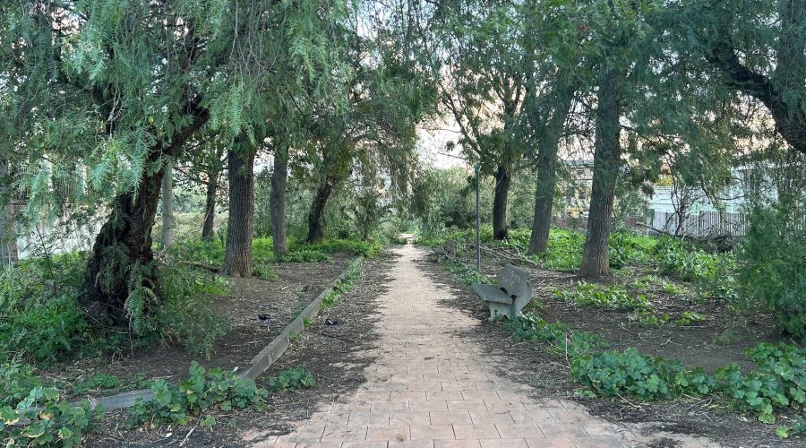 Giarre, allarme degrado e rischio incendi nella villetta di via Pertini