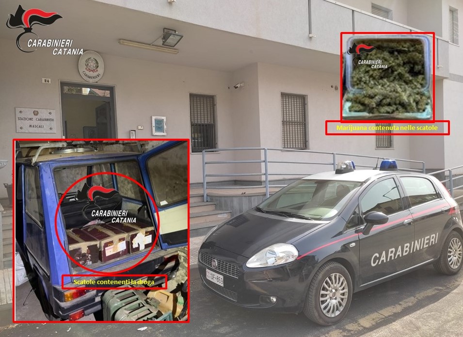 Mascali, colpo dei Cc: sequestrati 3 chili di marijuana. In manette un 41enne giarrese