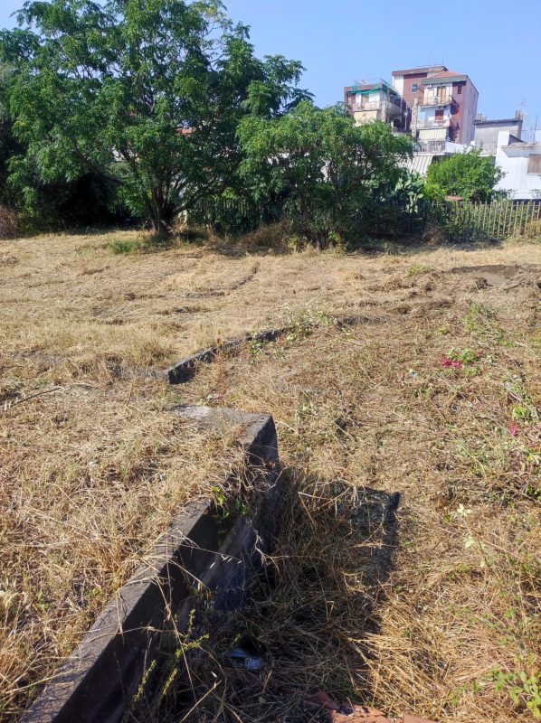 Giarre, interventi antincendio in diverse aree a verde comunali