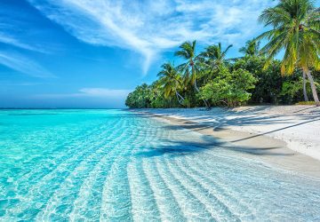 Vacanze alle Maldive: come organizzarle e cosa c’è da sapere