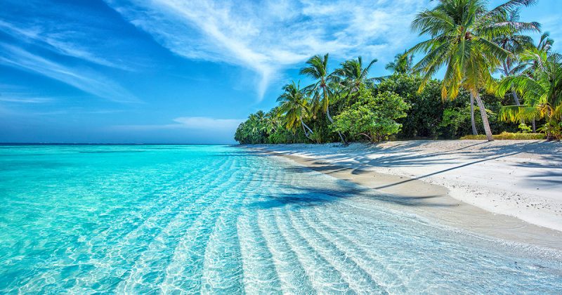 Vacanze alle Maldive: come organizzarle e cosa c’è da sapere