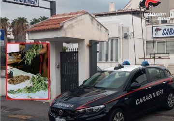 Giardini Naxos, coltivava cannabis nel terreno di casa: 50enne arrestato