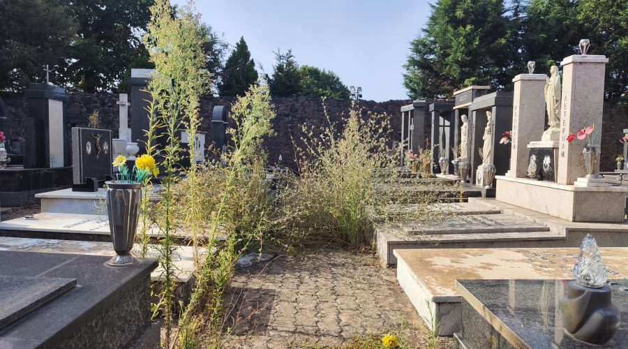 Passopisciaro, cimitero nel degrado. Appello dei residenti ai commissari straordinari