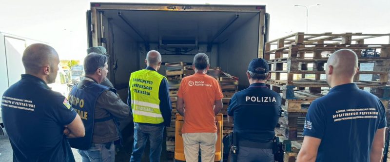 Mercato Agroalimentare Siciliano di Catania: sequestrate 20 tonnellate di prodotti ortofrutticoli privi di tracciabilità