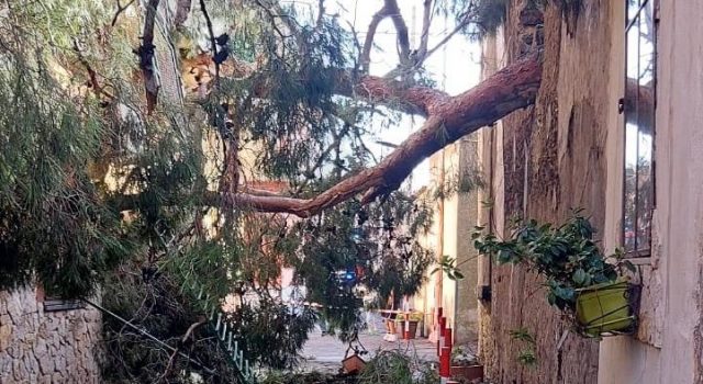 Maltempo nell’Acese: flagellata Aci S. Antonio. Forte vento abbatte le luminarie. Tre feriti FOTO VIDEO