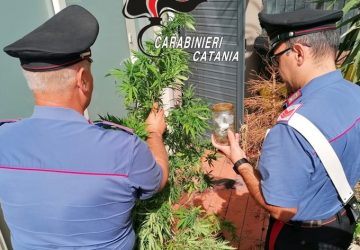 Carabinieri scovano due coltivazioni, in terrazza, di marijuana: 2 denunce