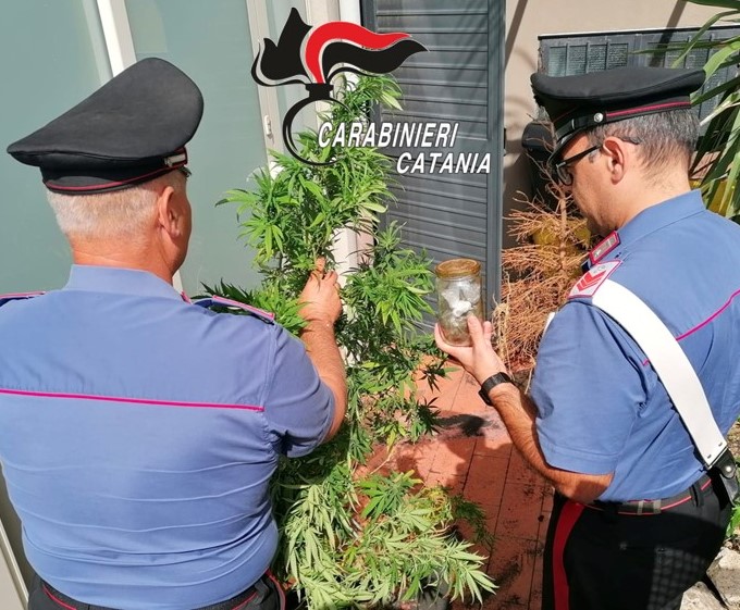 Carabinieri scovano due coltivazioni, in terrazza, di marijuana: 2 denunce