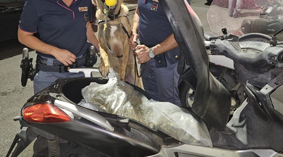 Sotto il sellino dello scooter nasconde 2,5 kg di droga: arrestato 35enne