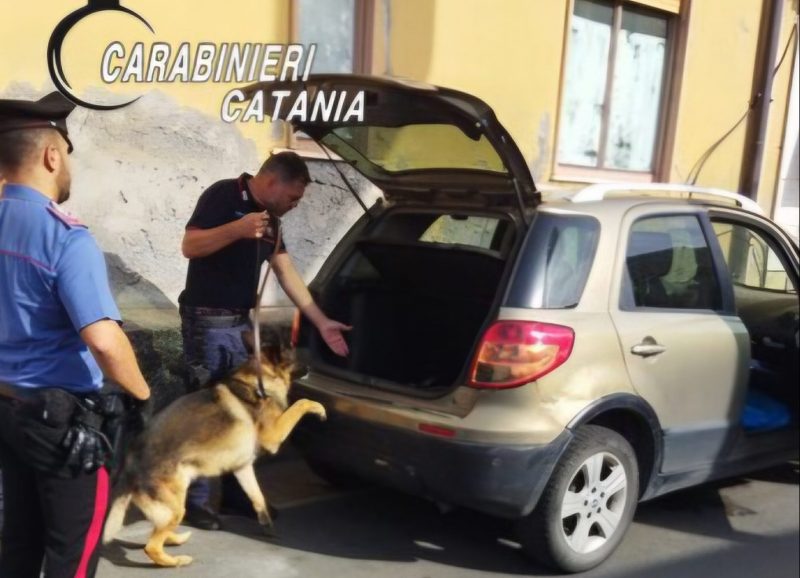 Controllano condizioni igienico-sanitarie di un bar e trovano fucile e droga: un arresto