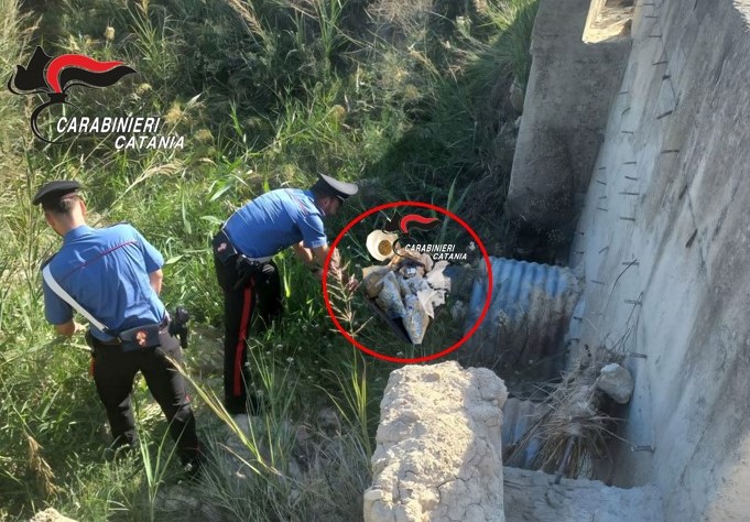 Nelle campagne, oltre alla fitta vegetazione, carabinieri trovano droga ed una pistola