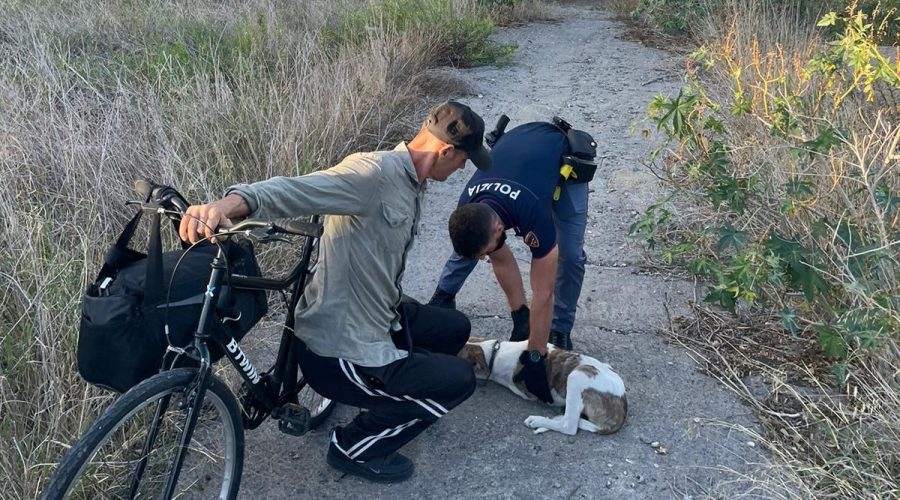 Senza tetto ed il suo cane salvati dalla Polizia durante l’incendio a Catania