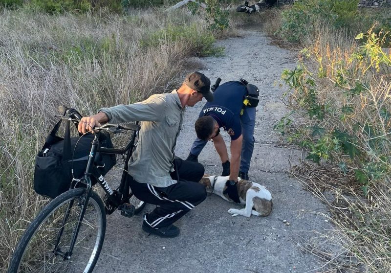 Senza tetto ed il suo cane salvati dalla Polizia durante l’incendio a Catania