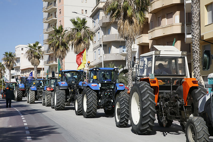 Agricoltura, danni da peronospora: la Regione Siciliana risarcirà le aziende