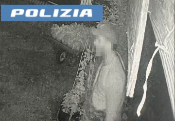 Ladro "goloso" ruba 20 barattoli di miele: denunciato 47enne