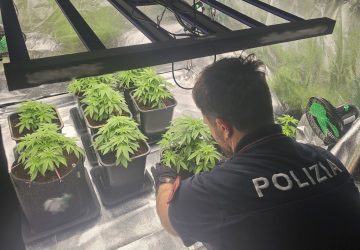 Trasformano garage in serra per la marijuana: arrestati padre e figlio col "pollice verde"