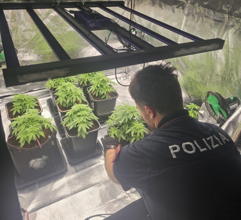 Trasformano garage in serra per la marijuana: arrestati padre e figlio col “pollice verde”