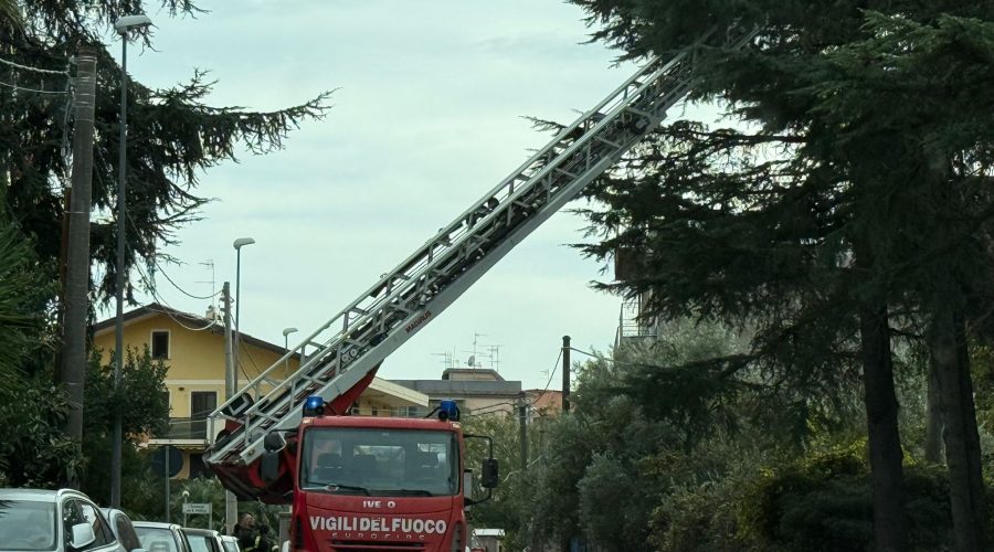 Giarre, rami d’albero a rischio crollo. Intervento dei Vigili del fuoco