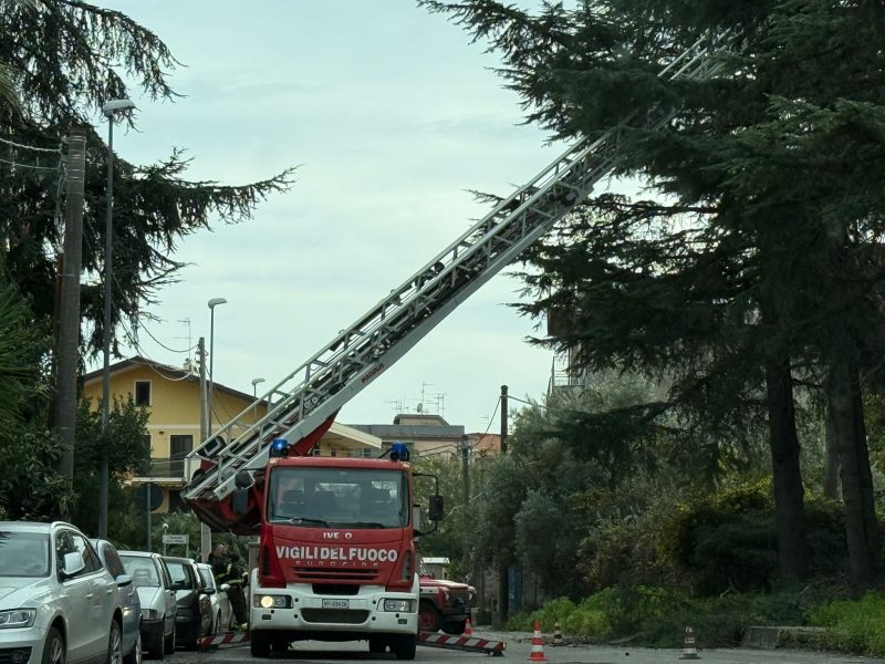 Giarre, rami d’albero a rischio crollo. Intervento dei Vigili del fuoco