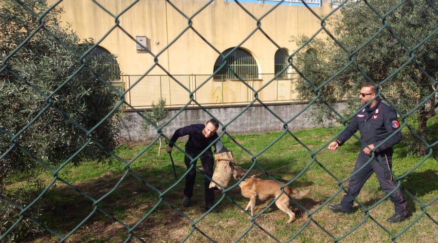 Giarre, all’Oasi dei cuccioli di Trepunti l’incontro tra i bambini e i cani delle Forze dell’Ordine