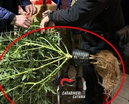 “Dal produttore al consumatore”: arrestato pusher 42enne