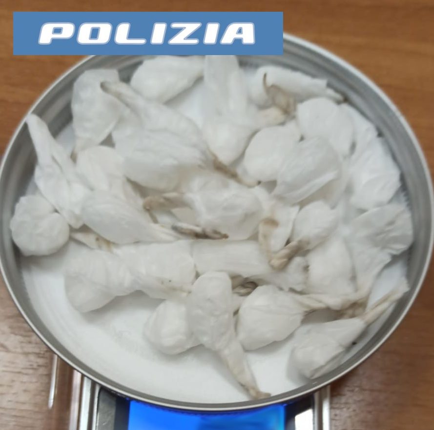 Acireale, rinvenute 30 dosi di cocaina nascoste in un cestino dei rifiuti