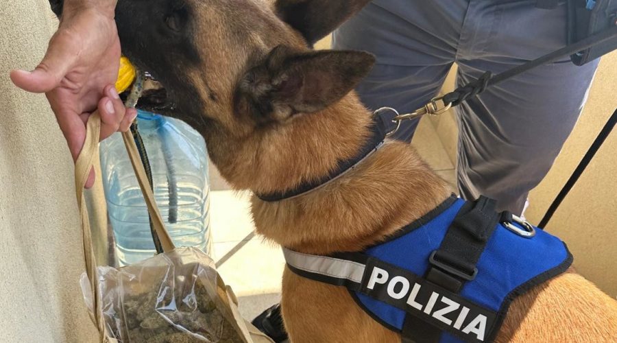 Blitz della polizia in uno stabile: trovato quasi un chilo e mezzo di droga