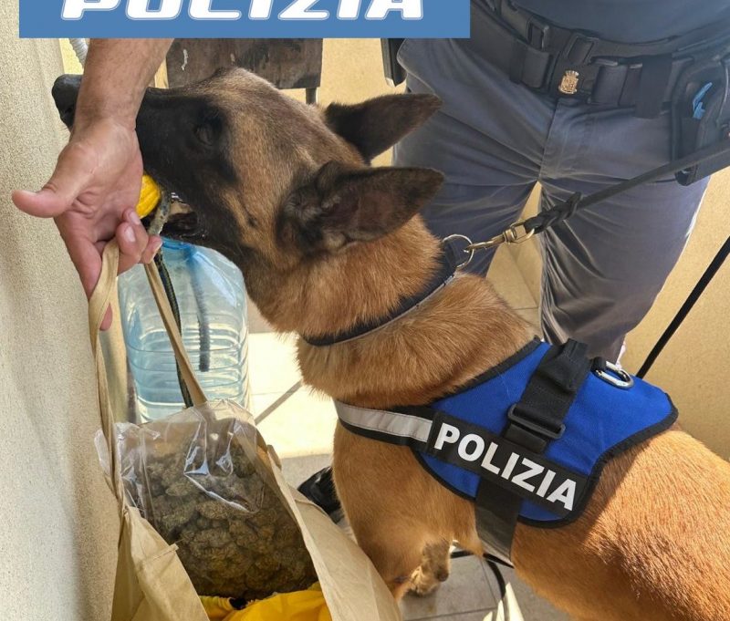 Blitz della polizia in uno stabile: trovato quasi un chilo e mezzo di droga