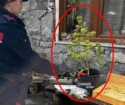 Marijuana e cocaina in giardino: manette per un 50enne