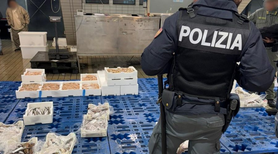 Aci Trezza, controlli al mercato del pesce: sequestrati 170 kg di prodotti ittici. Sanzioni per quasi 6.200 euro