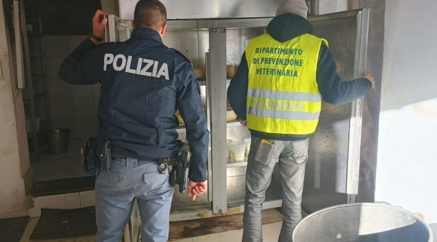 Scoperti un caseificio ed un panificio degli “orrori igienico sanitari”: denuncia e sanzioni per il gestore VIDEO