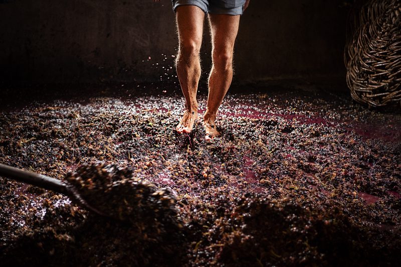 “Danza antica” di Antonio Raciti vince il contest fotografico “Vite, tra vino e vulcano”