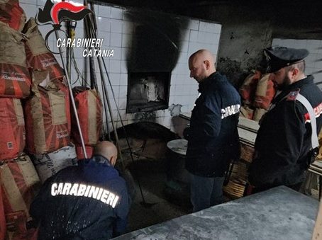 Acireale, scoperto panificio abusivo ed infestato da blatte: denunciato il titolare