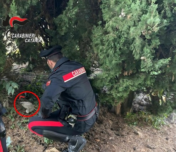 Arrestato dai Carabinieri un giovane pusher