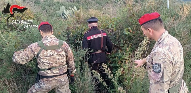 Randazzo, denunciati dai Carabinieri due cacciatori di frodo