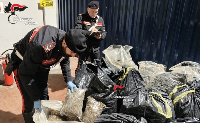 Maxi sequestro di droga a Catania: trovati 250 kg di marijuana VIDEO