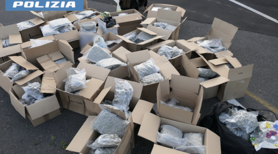 Individuato un Tir carico di frutta e “verdura”: sequestrati oltre 280 kg di droga VIDEO