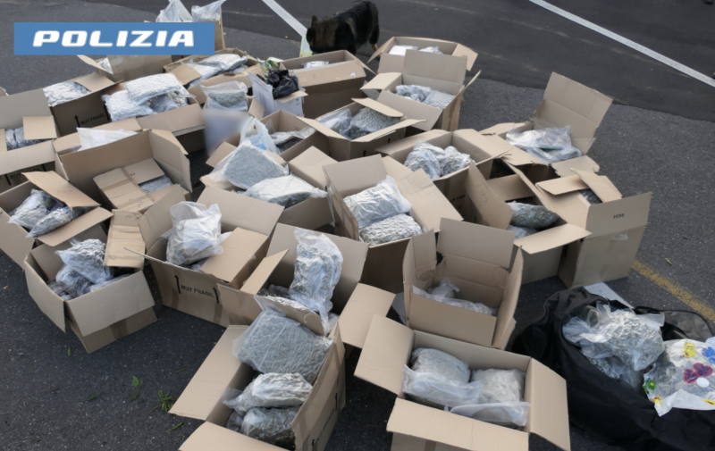 Individuato un Tir carico di frutta e “verdura”: sequestrati oltre 280 kg di droga VIDEO